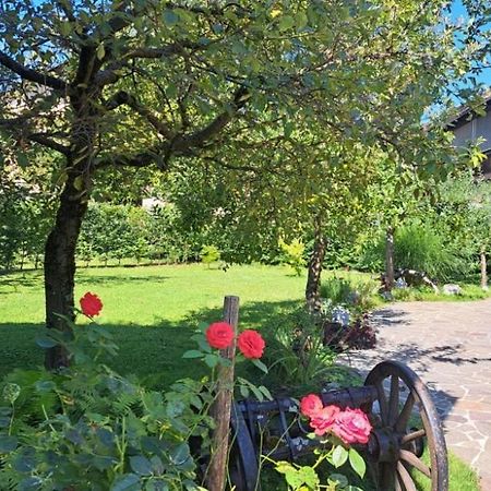 Jurcek Villa Radovljica Dış mekan fotoğraf